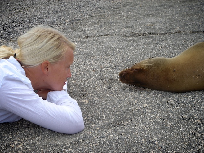 Gal Galapagos Ali Sea Lion.JPG (246495 bytes)